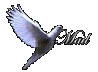 eMail Us
